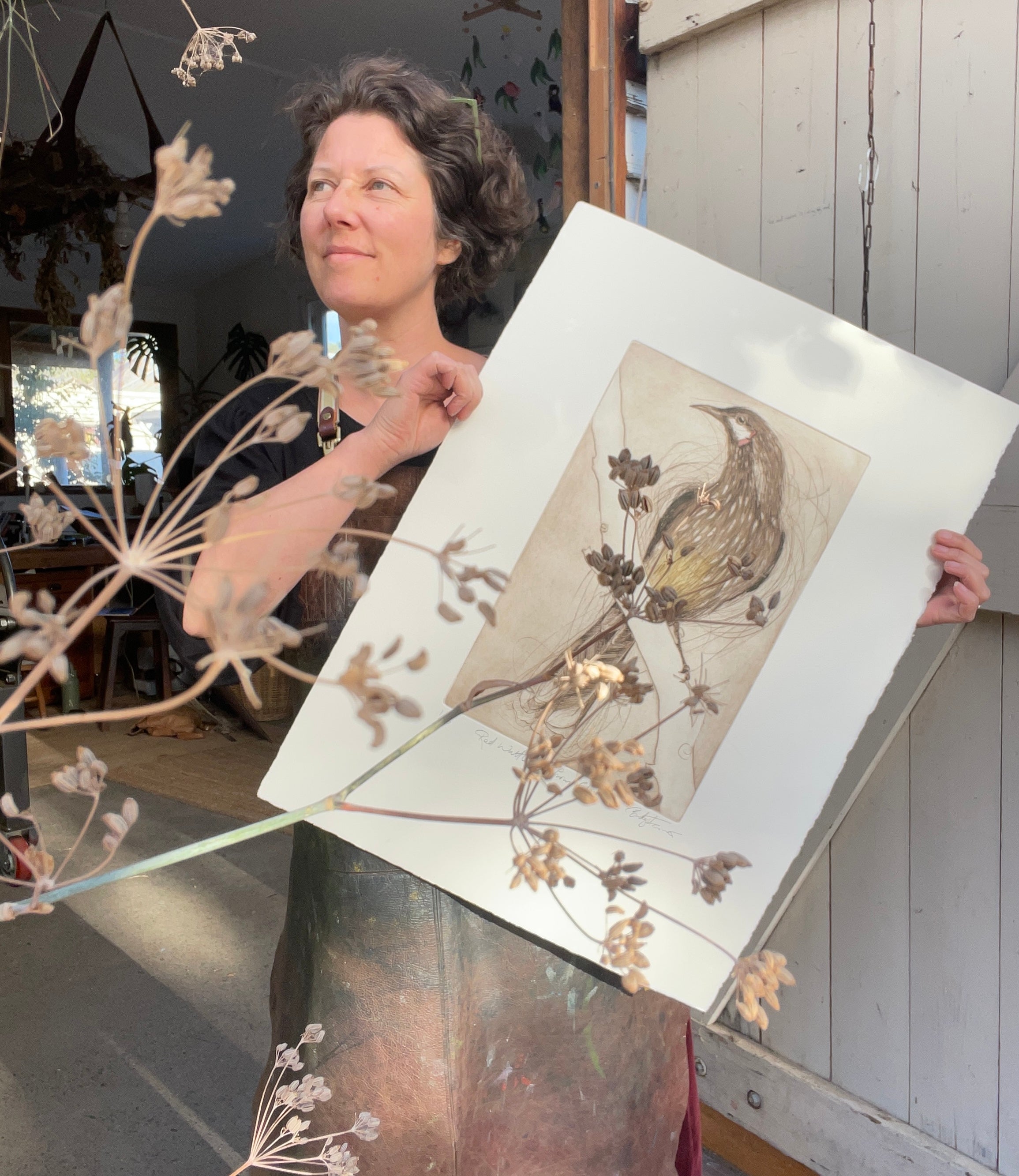 Creating the Red Wattlebird Etching - Part 5 - Inking Up The Plate In Multiple Colours And Editioning