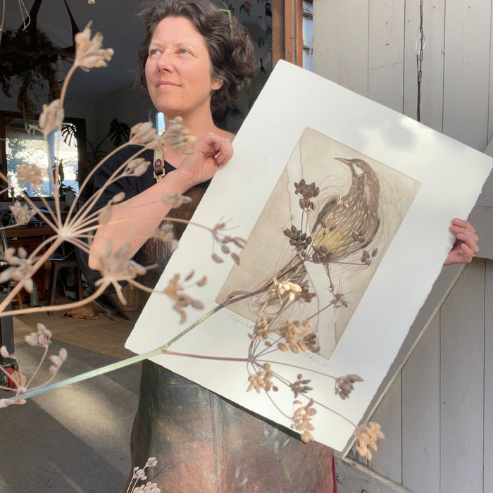 Creating the Red Wattlebird Etching - Part 5 - Inking Up The Plate In Multiple Colours And Editioning