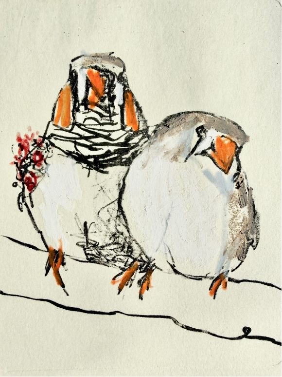 My Week in Birds ~ July Week 3