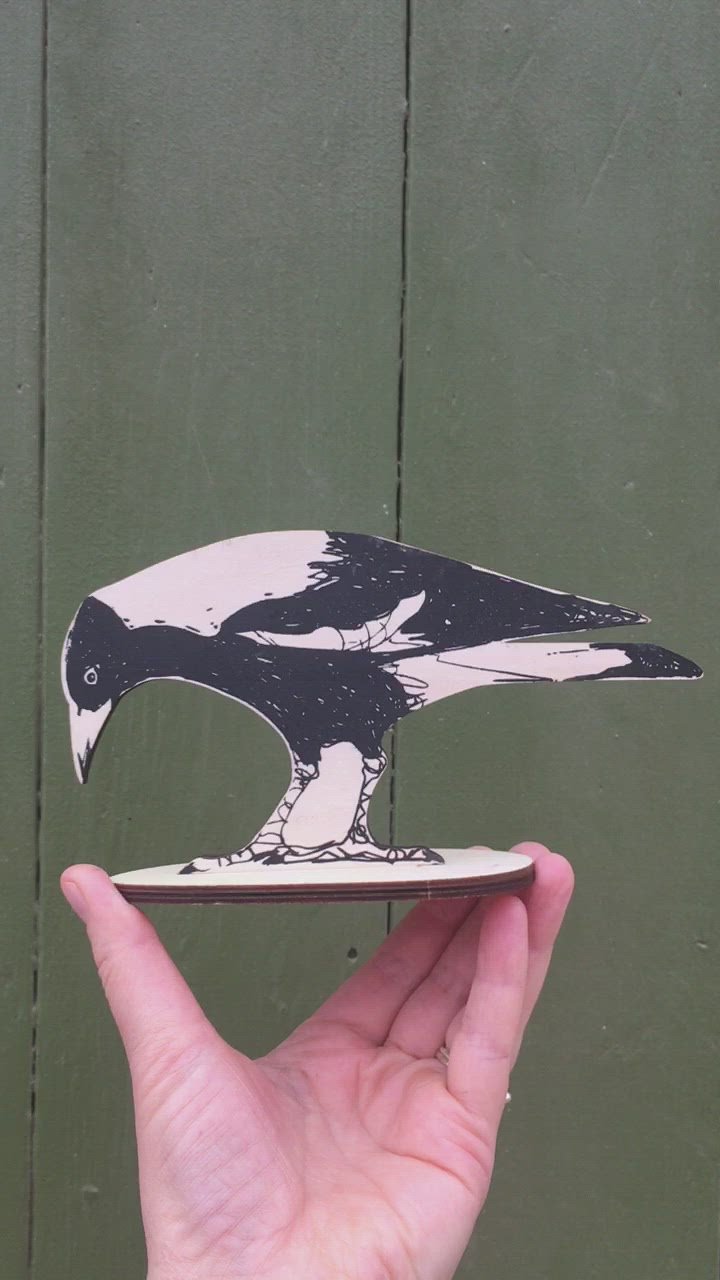 Load video: Australian Magpie Standing Bird Ornament