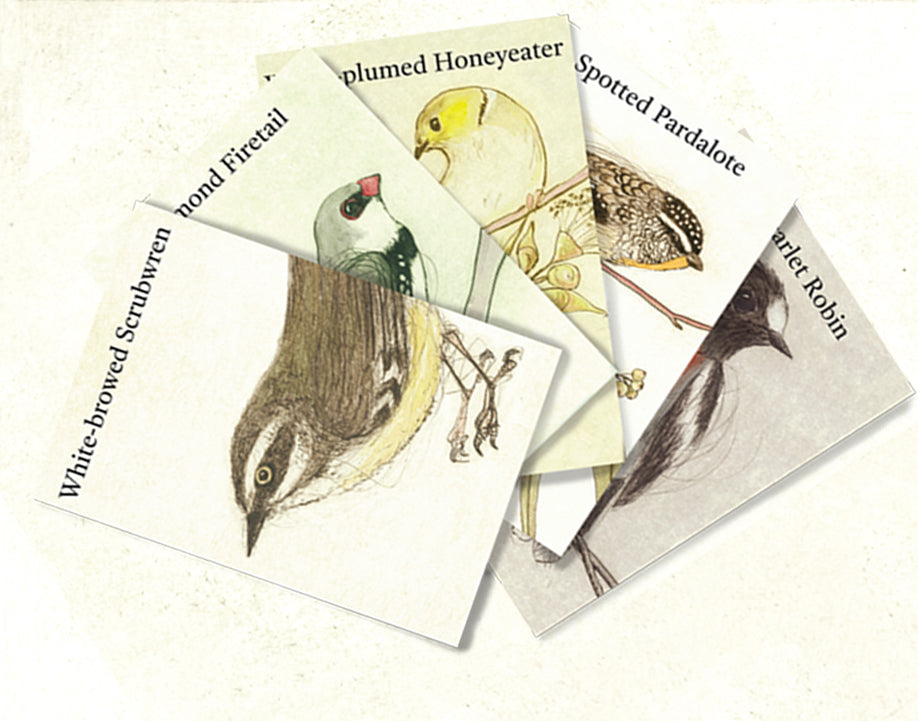 The Bush Birds Card Game