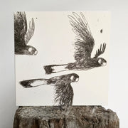 Gently Flapping, Calmly Calling (Black Cockatoos) Greeting Card