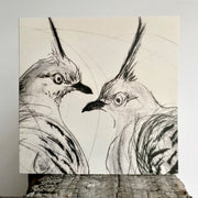 Crested Pigeons Greeting Card