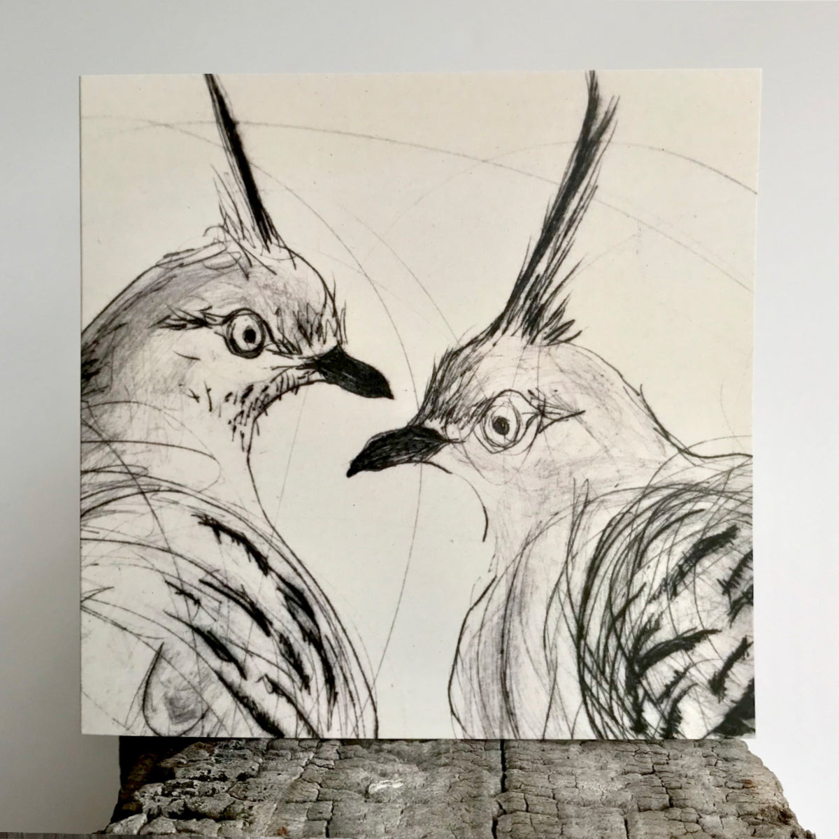 Greeting Card - Crested Pigeons