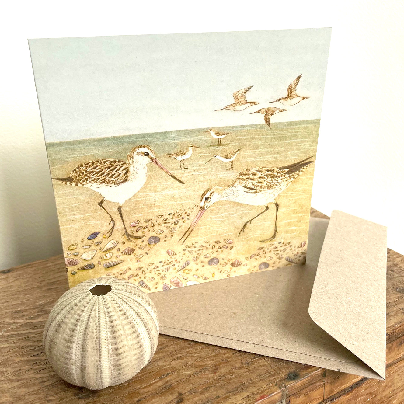 Bar-tailed Godwit Greeting Card "The Beach Birds" Collection