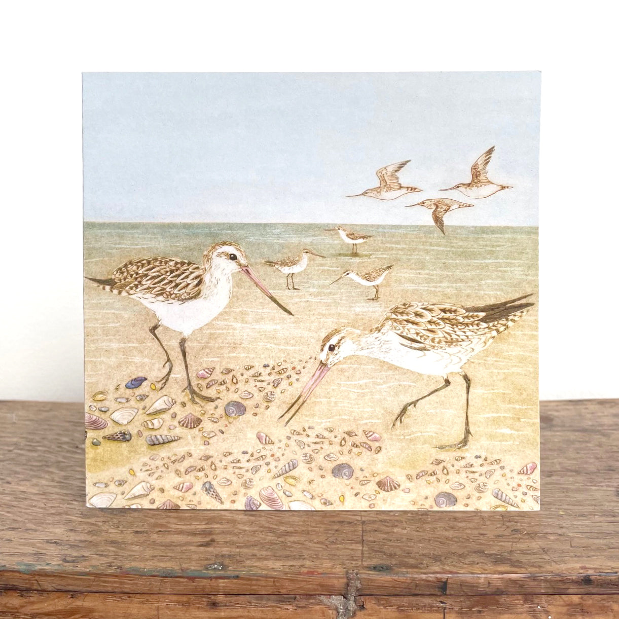 Bar-tailed Godwit Greeting Card "The Beach Birds" Collection