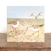 Bar-tailed Godwit Greeting Card "The Beach Birds" Collection