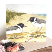 Hooded Plovers Greeting Card "The Beach Birds" Collection