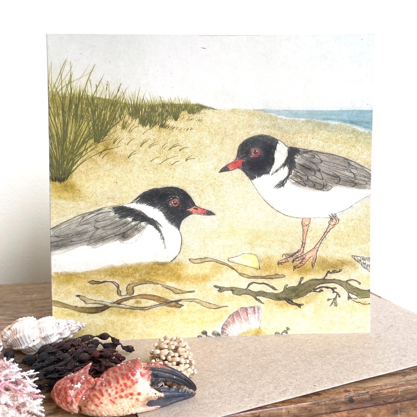 Greeting Card - Hooded Plovers
