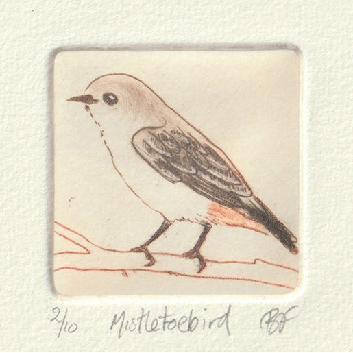 Original Etching - Mistletoebird