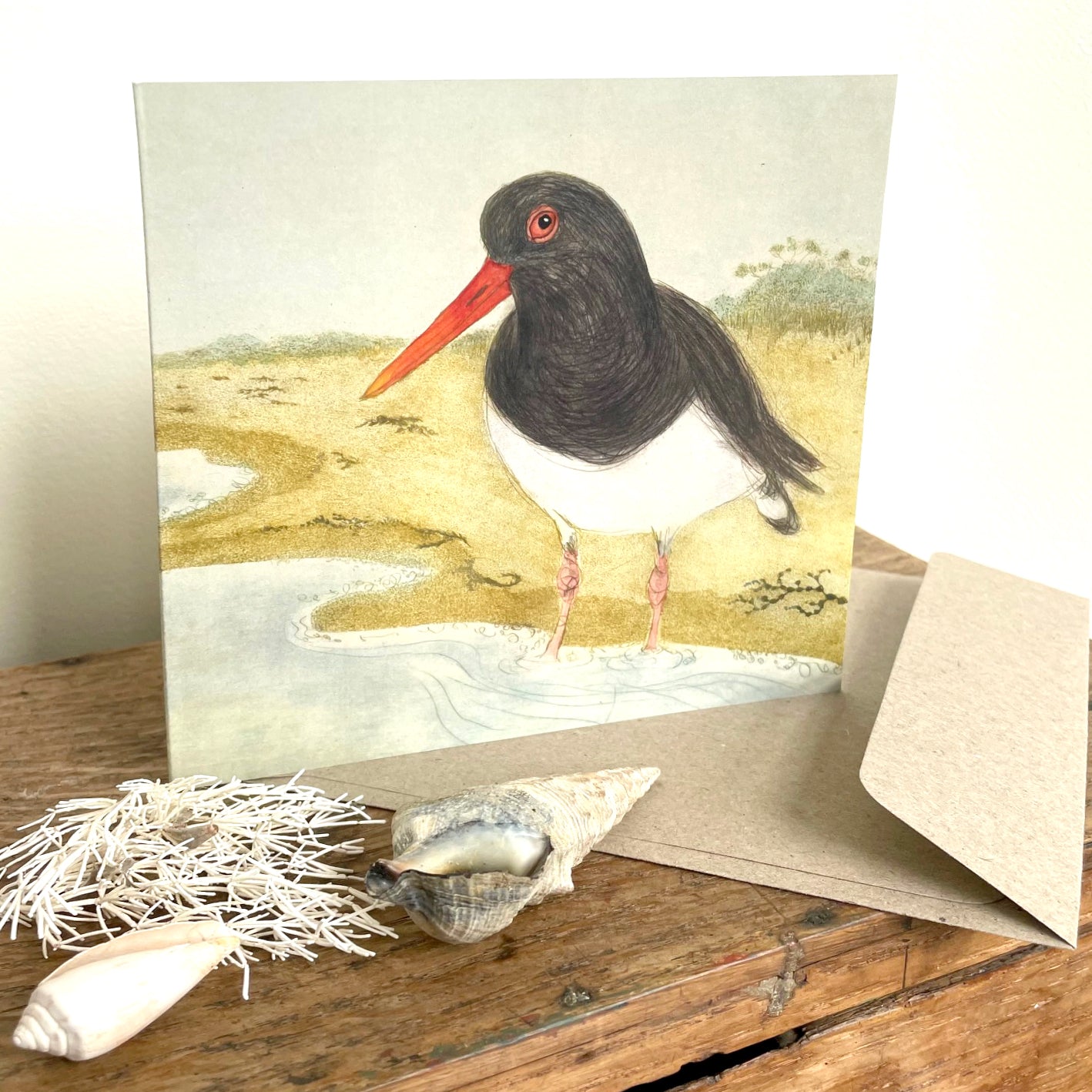 Pied Oystercatcher Greeting Card "The Beach Birds" Collection