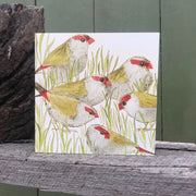 Red-browed Finches Greeting Card "The Bush Birds" Collection