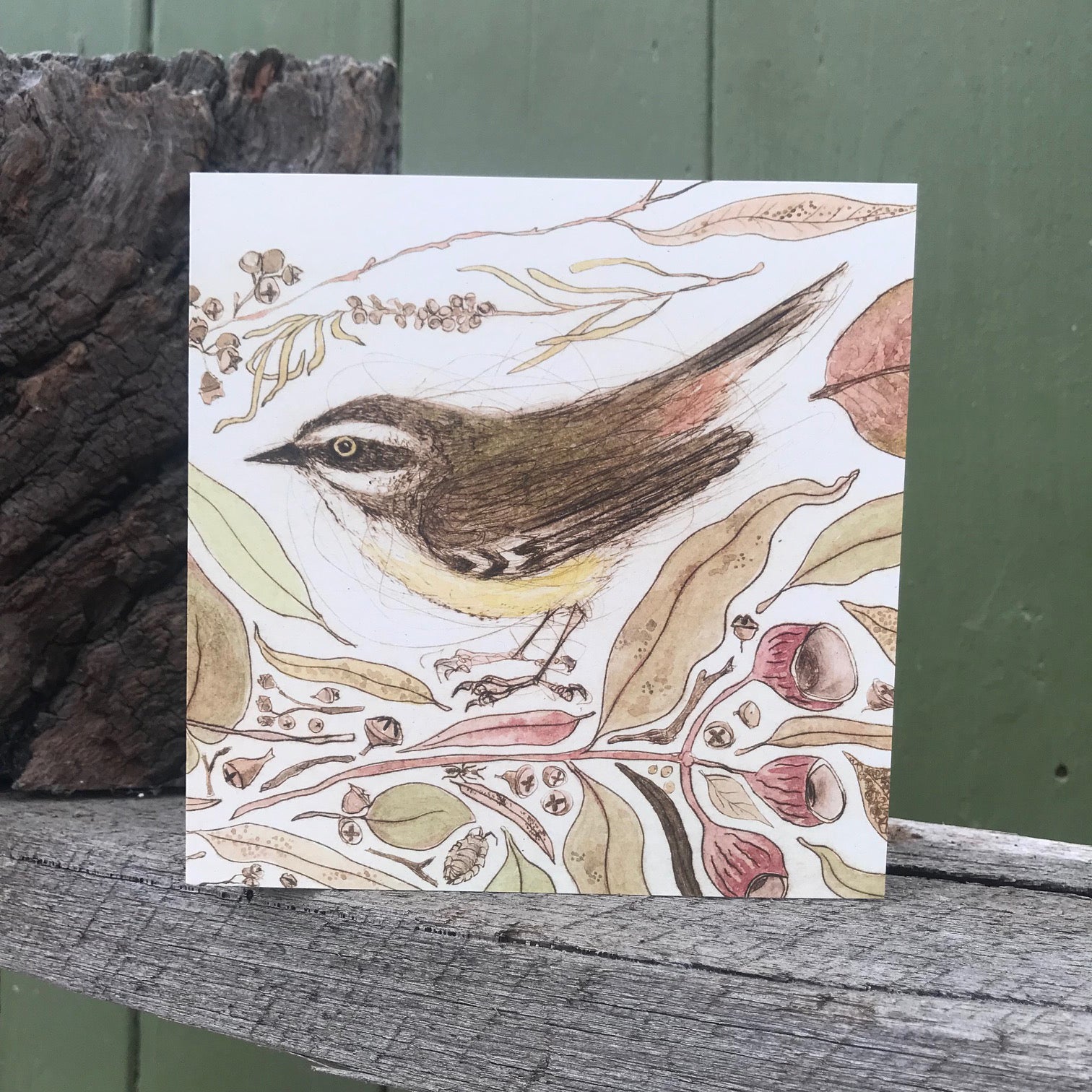 White-browed Scrubwren Greeting card "The Bush Birds" Collection