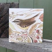 White-browed Scrubwren Greeting card "The Bush Birds" Collection