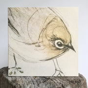 Silvereye In The Fennel Greeting Card