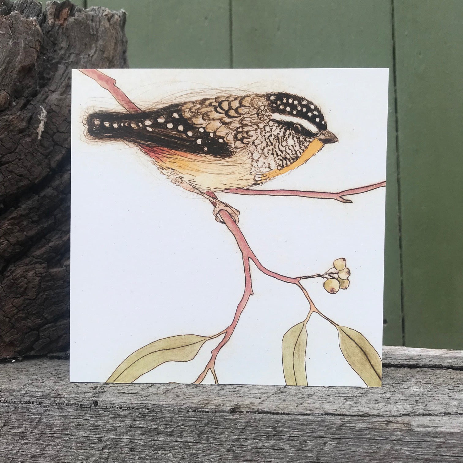 Spotted Pardalote Greeting Card "The Bush Birds" Collection