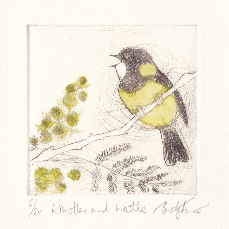 Original Etching - Whistler and Wattle