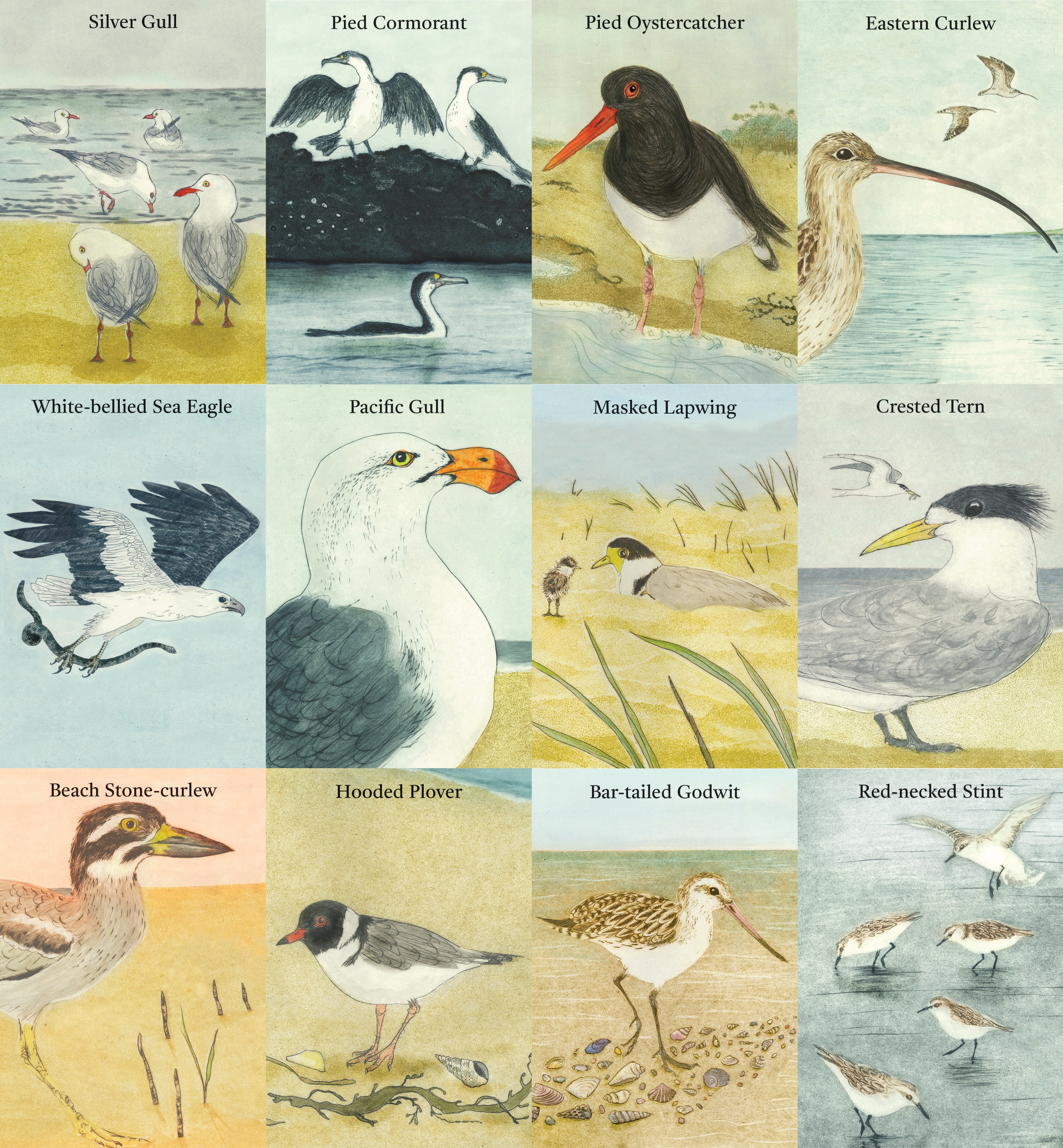 BEACH BIRDS Card Game