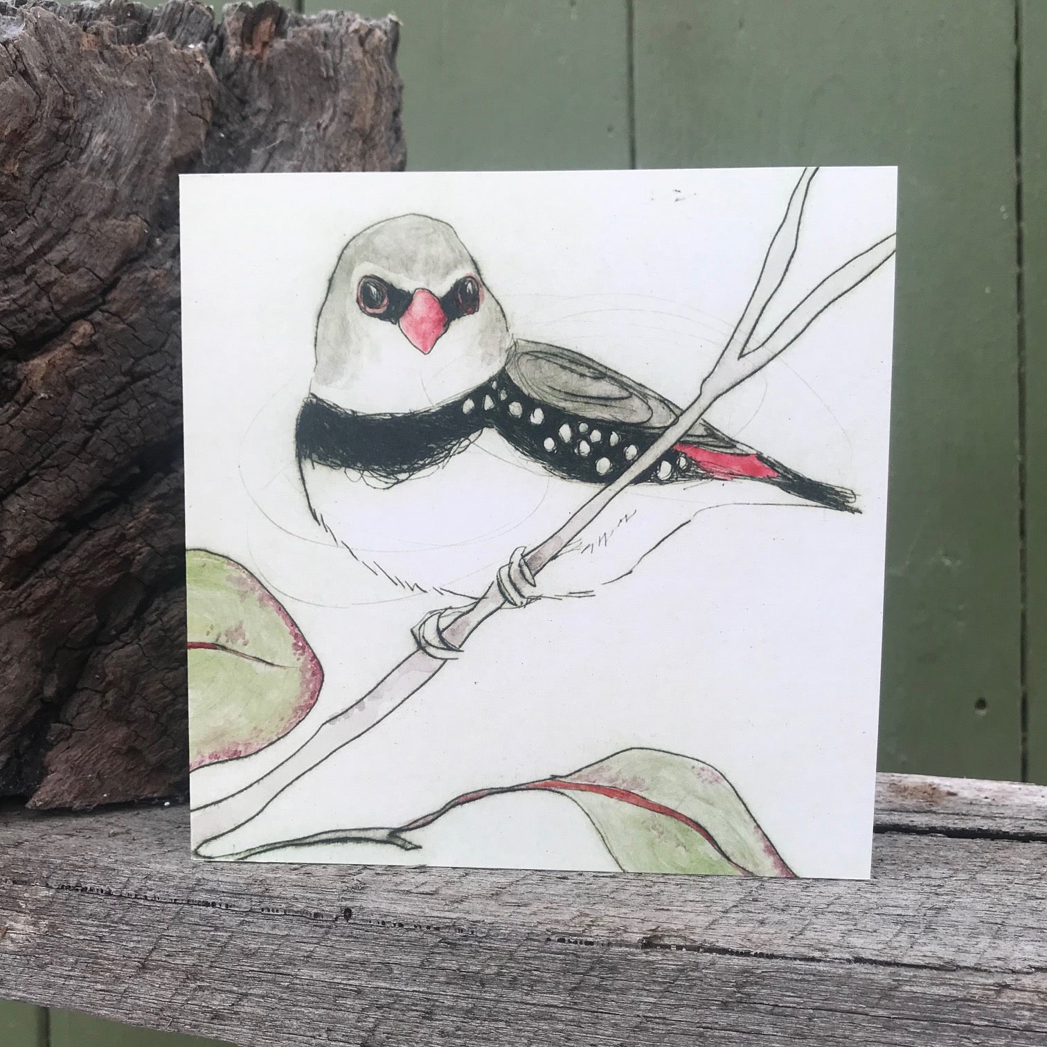 Diamond Firetail Greeting Card "The Bush Birds" Collection