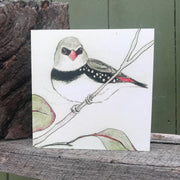 Diamond Firetail Greeting Card "The Bush Birds" Collection