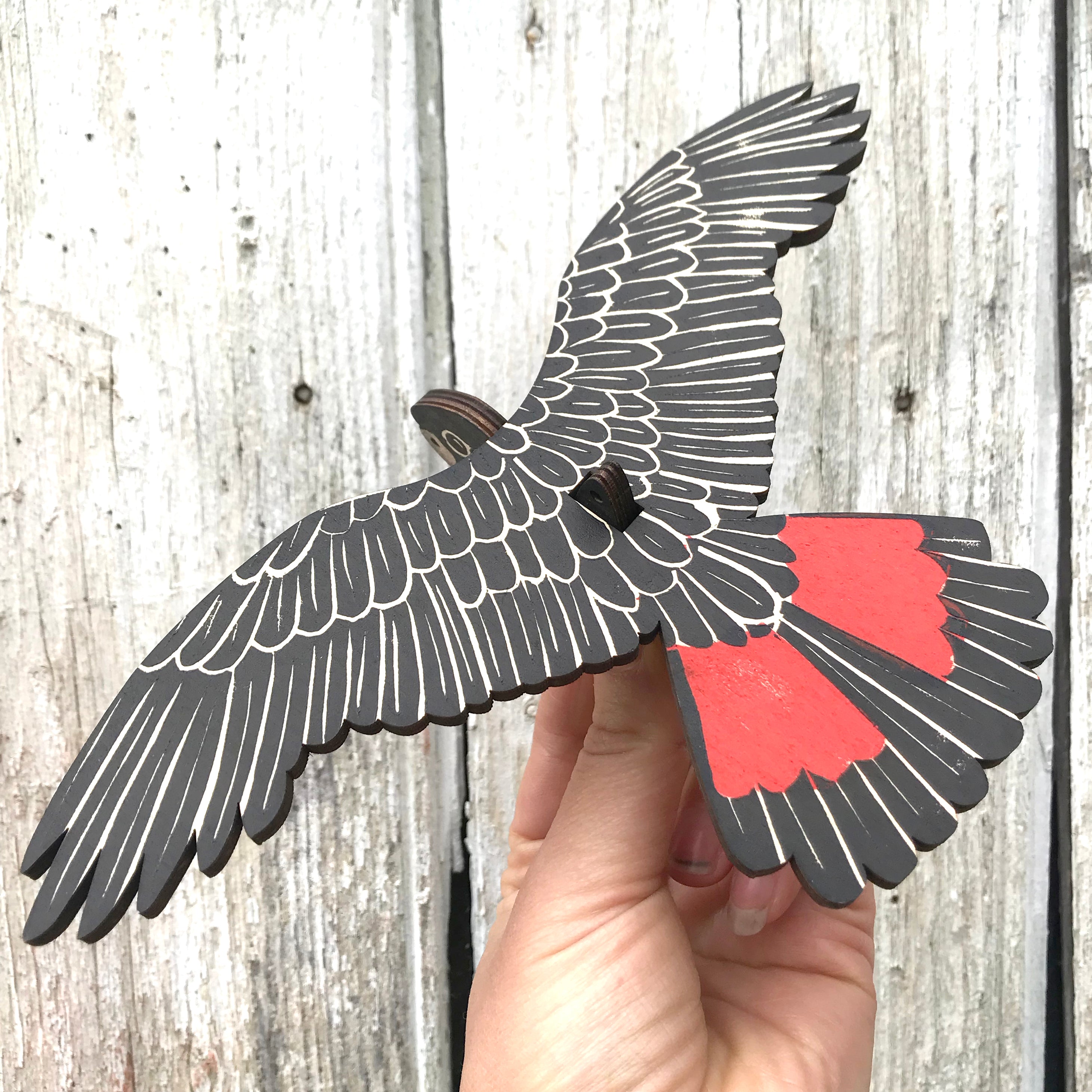 Red-tailed Black Cockatoo (male) Hanging Wooden Bird Mobile