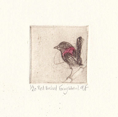 Original Etching - Red Backed Fairy Wren I