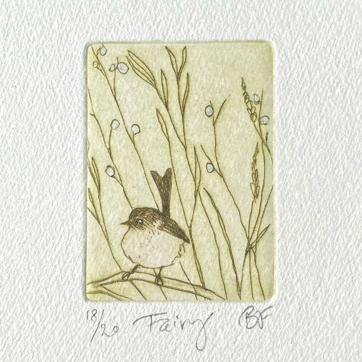 Oringinal Etching - Fairy