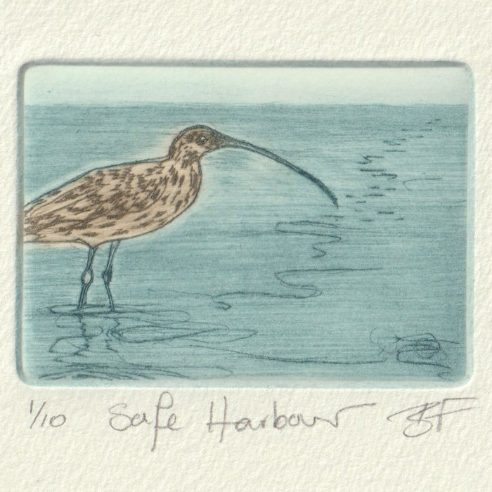 safe harbour, toondah, curlew