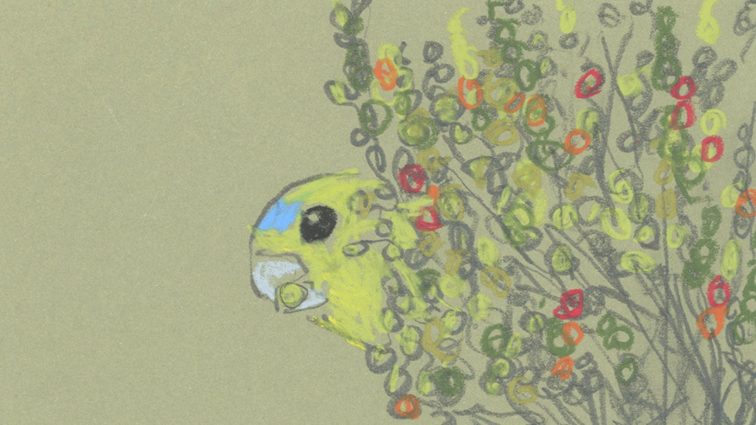 My Week In Birds ~ July Week 1