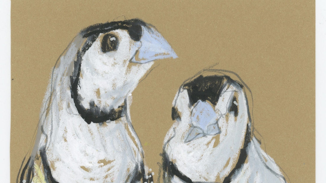 My Week In Birds - June Week 2