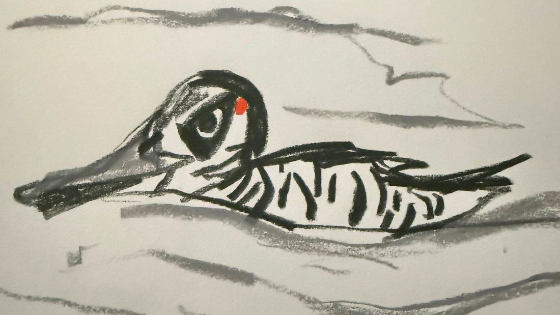 My Week In Birds - June Week 1