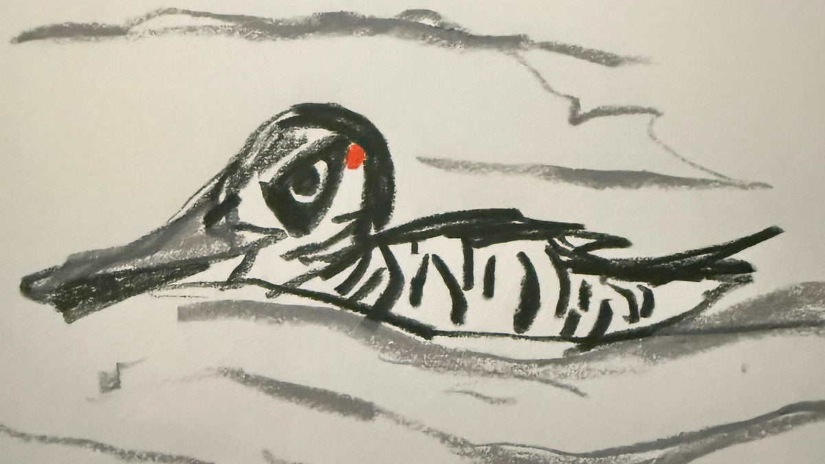My Week In Birds - June Week 1