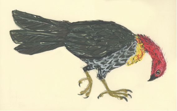 My Week in Birds ~ August Week 2