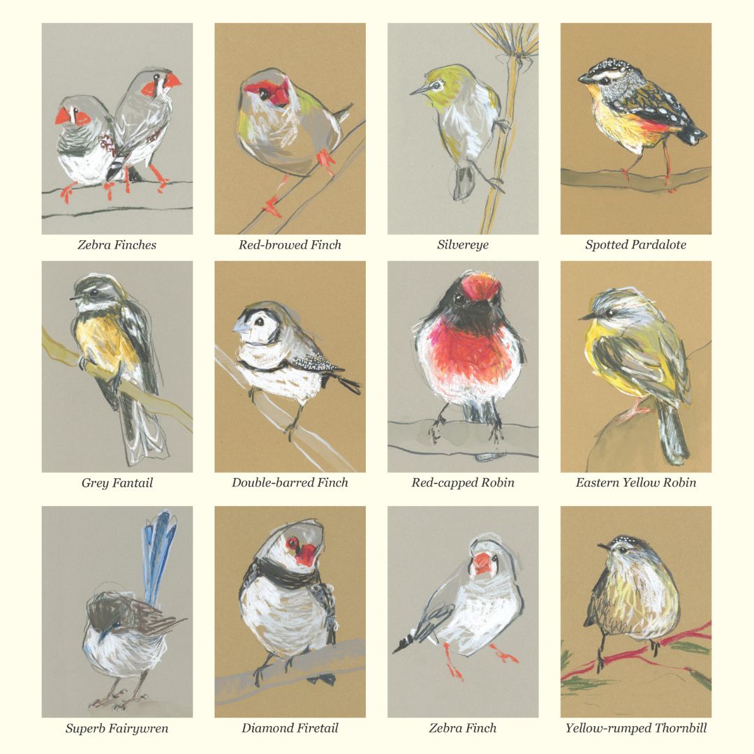 A 3x4 grid of illustrated birds on a beige background, with each bird labeled with its scientific name. The artwork shows various finches, robins, and other small birds in watercolor-style rendering with labels beneath each species.
