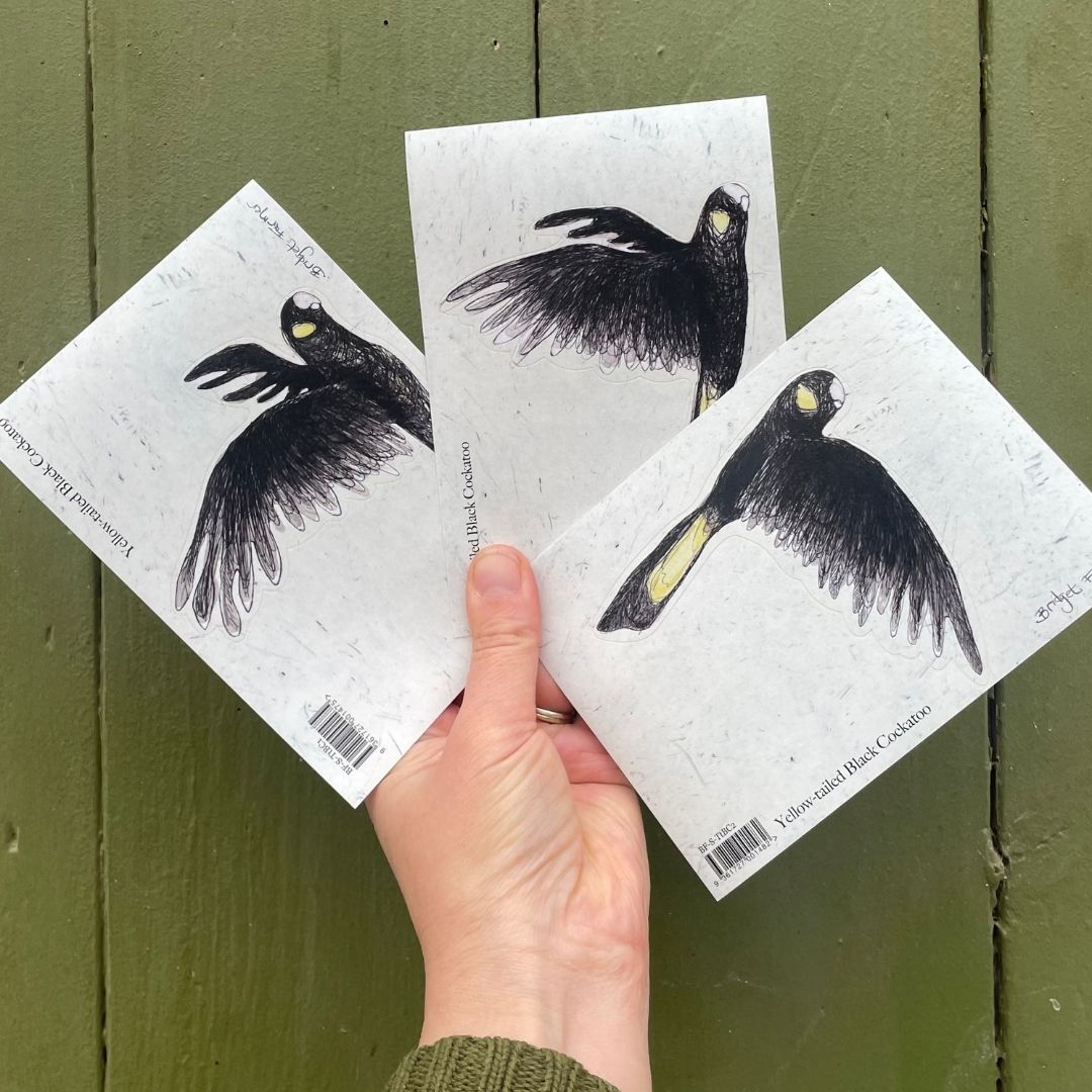 Sticker Set ~ Flock of 3 Yellow-tailed Black Cockatoos