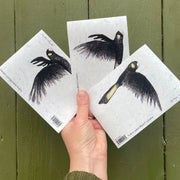 Sticker Set ~ Flock of 3 Yellow-tailed Black Cockatoos