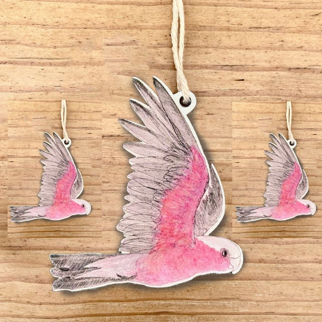 PREORDER NOW: Think Pink! Galah Gift Pack