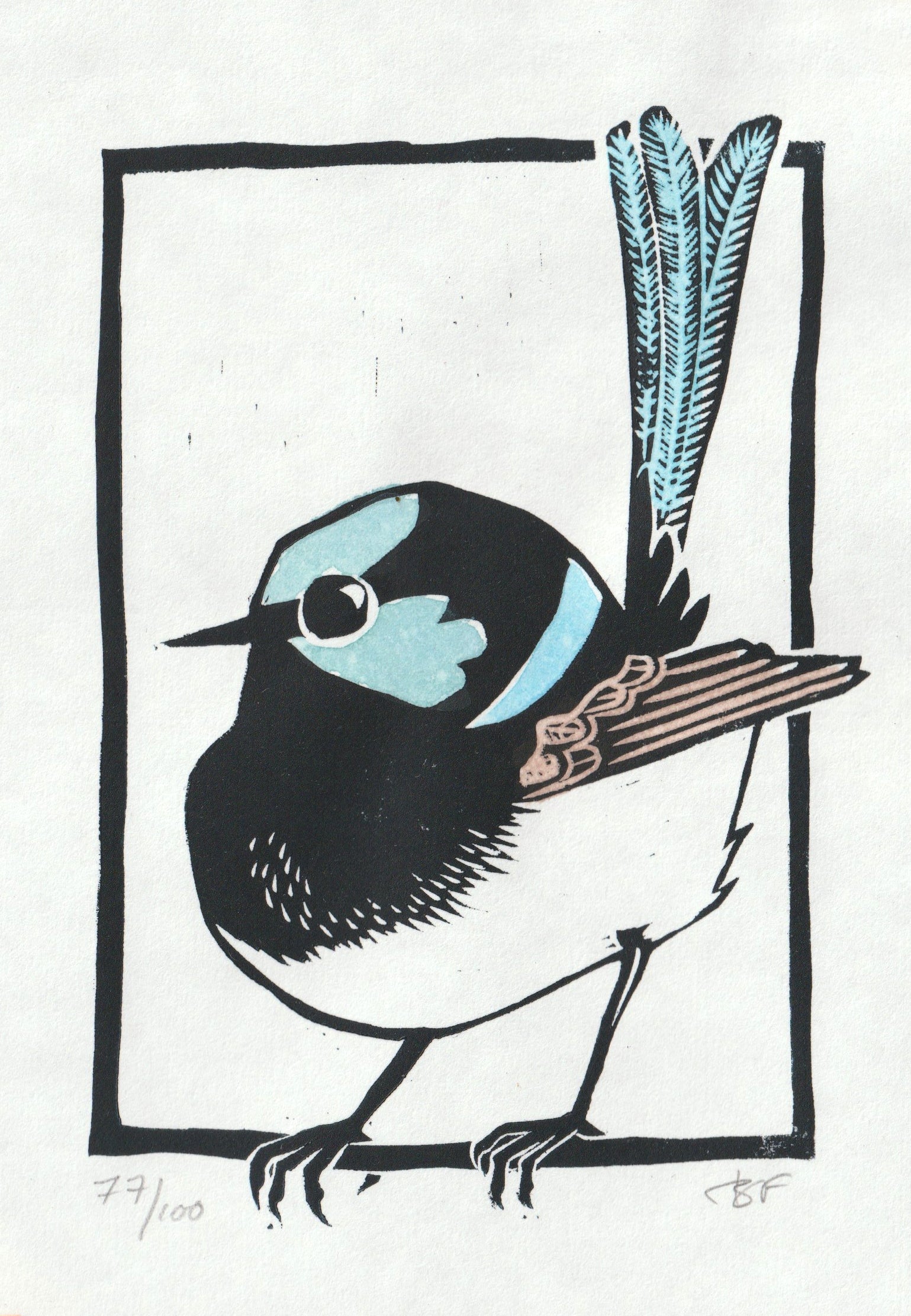 Handprinted Linoprint - Male Superb Fairywren