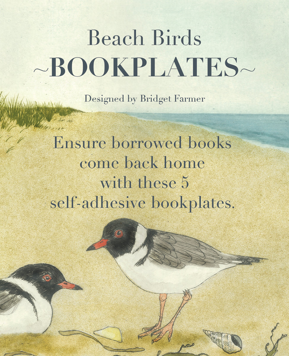 Bookplates - Beach Birds - Set of 5