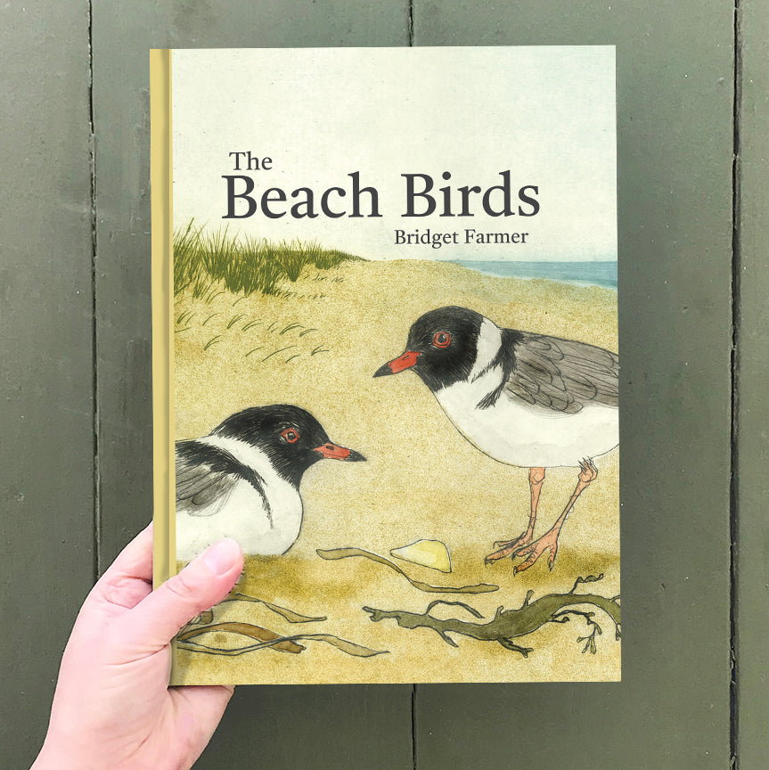 The Beach Birds - Lift The Flap Children's Bird Book