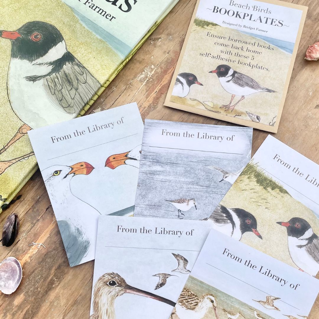 Bookplates - Beach Birds - Set of 5