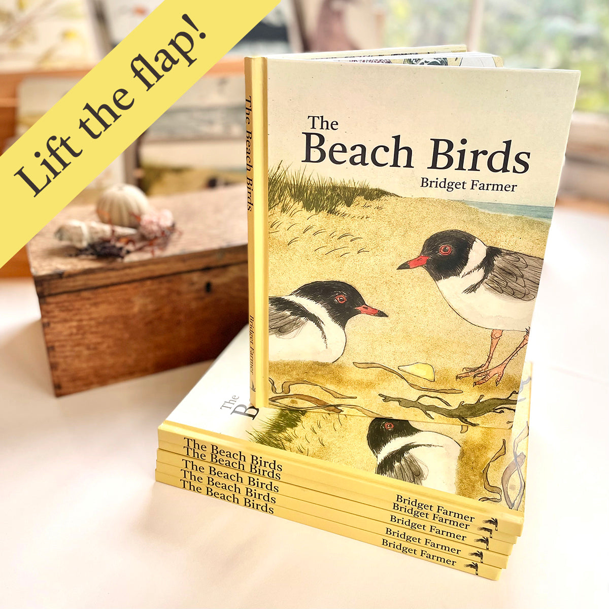 The Beach Birds - Lift The Flap Children's Bird Book