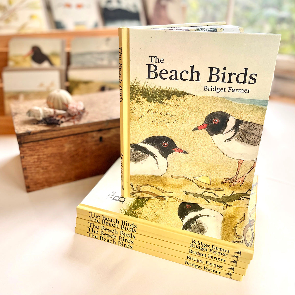 The Beach Birds - Lift The Flap Children's Bird Book