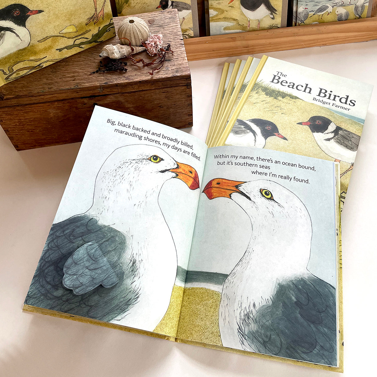 The Beach Birds - Lift The Flap Children's Bird Book