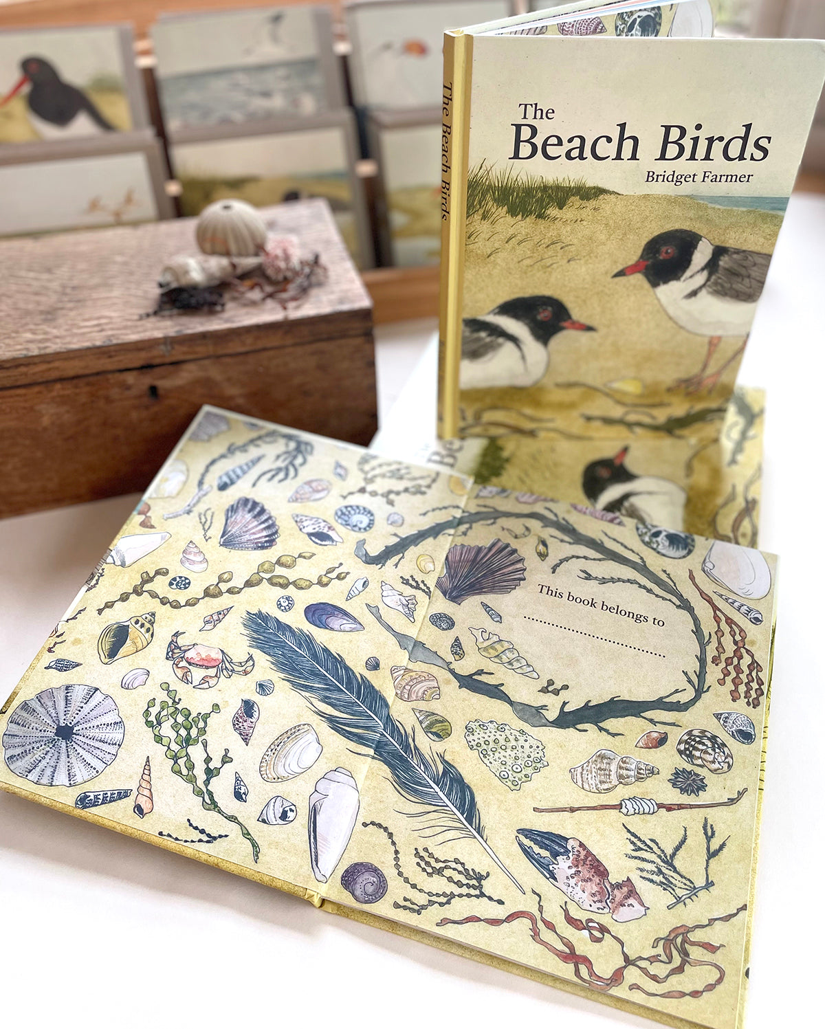 The Beach Birds - Lift The Flap Children's Bird Book