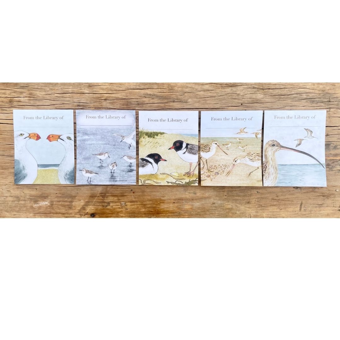 Bookplates - Beach Birds - Set of 5