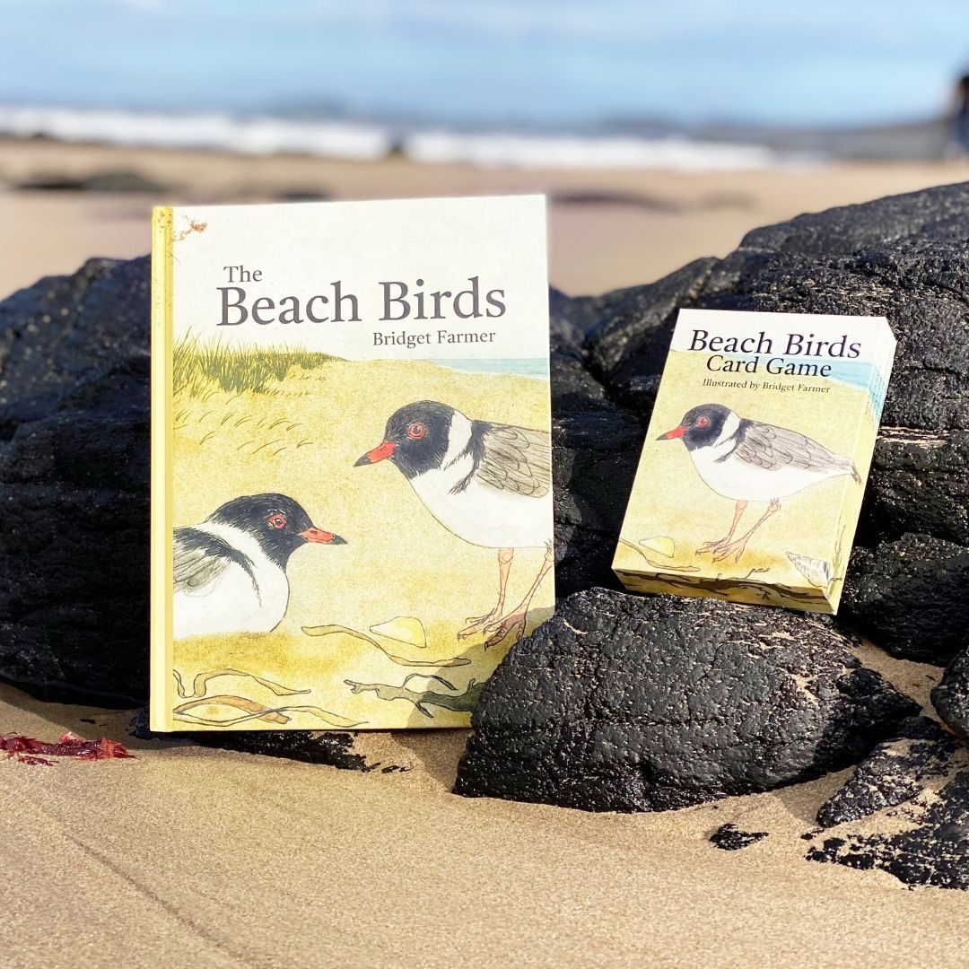 Book & Game - The Beach Birds
