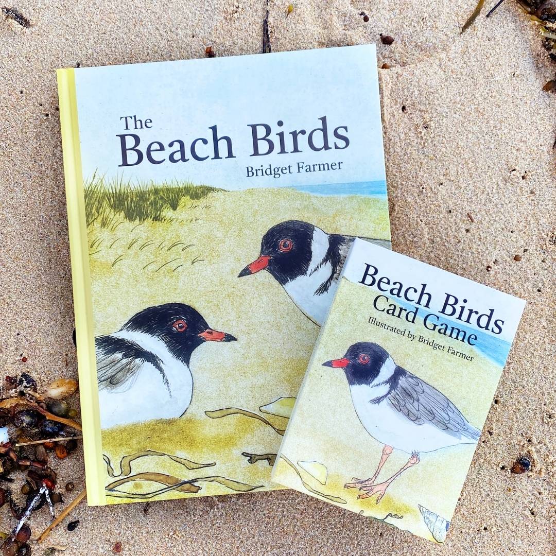 Book & Game - The Beach Birds
