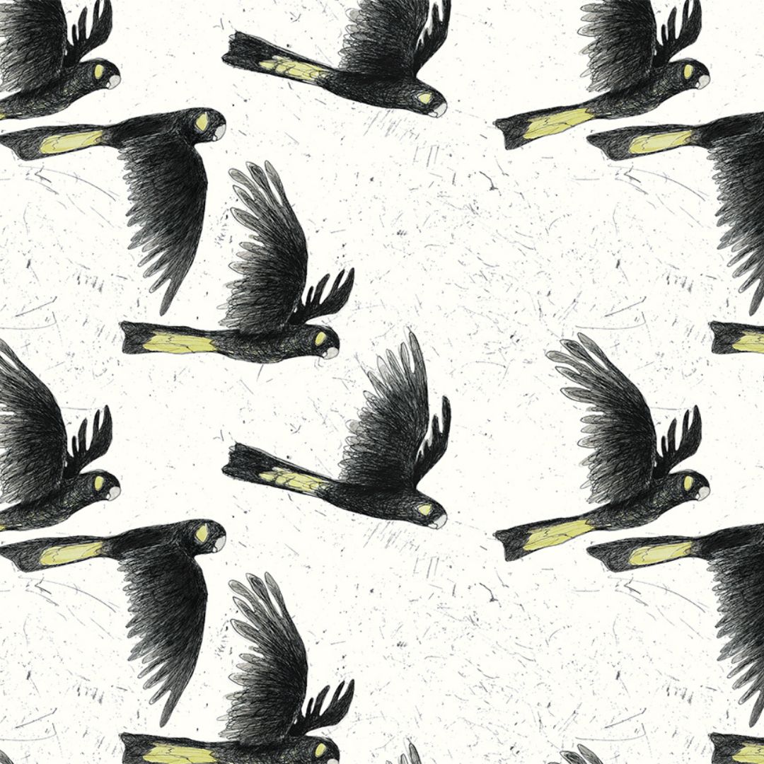 Yellow-tailed Black Cockatoos Wrapping Paper