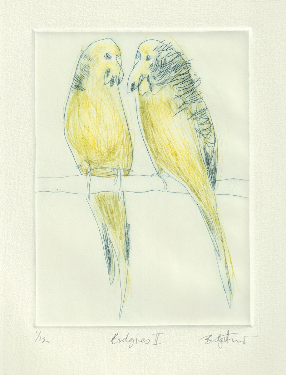 Original Etching - Budgies II